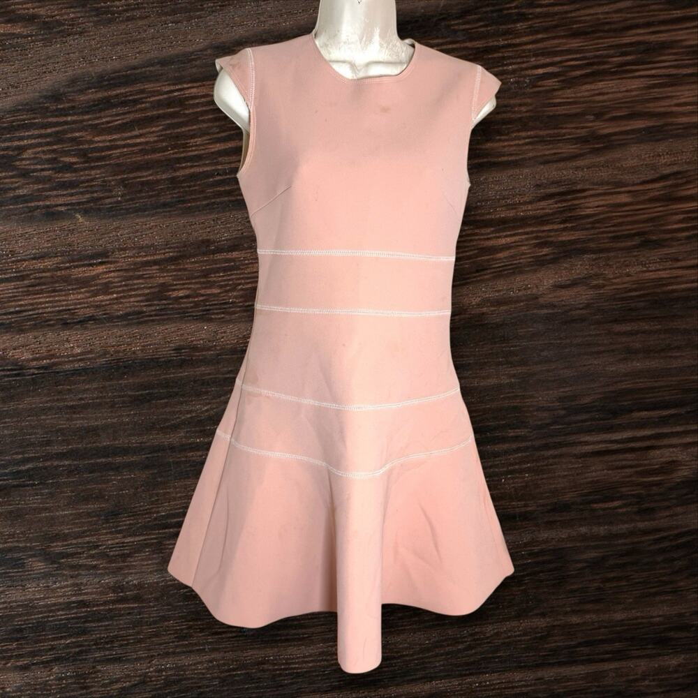 Sandro Remind Rose Cendre Dress Size 4‎ Fit and Flare Grown Up Pink Neoprene